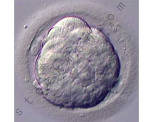 浠水有寄血香港验血吗_株洲香港验血机构_详细的步骤都在这!