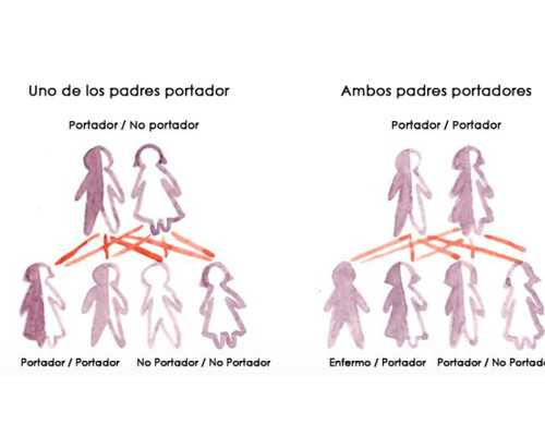 去香港验血哪个诊所好, 35岁子宫腺肌症做试管成功案例之经验分享-事预则立，