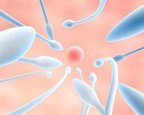 香港验血48天可以吗_为什么香港验血价钱都不一样_验血查性别化验所哪家准!