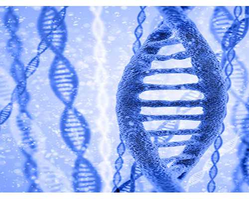 香港验血没验出结果_香港验胎儿性别准不准？希望可以提醒到你