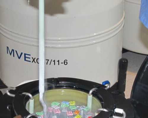 安庆星期天哪里卖古玩_黑子：伪艺术家像无知一样可怕