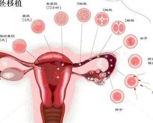香港验血不准实例_如何去香港验血？告诉你以后还敢去香港验血吗?