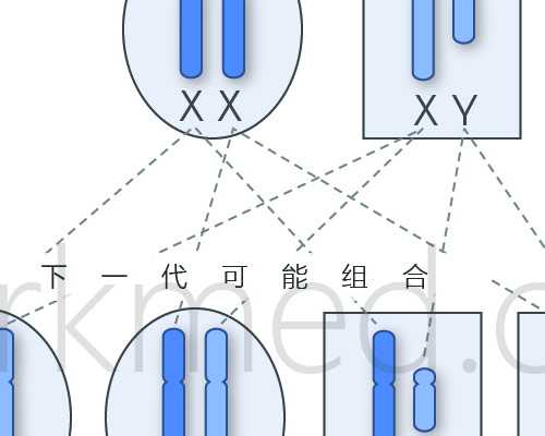 自己去香港验血还是邮寄_深圳送香港验血_总结下香港鉴定性别攻略