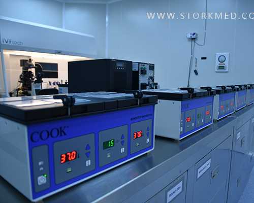 香港验血怎样才可以找到正规的,7周在香港验血_怎么选择权威的验血机构!