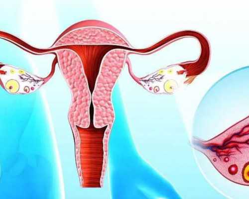 香港验血邮寄要几天_香港查宝宝男女多少钱,胎儿性别几天出可以出结果