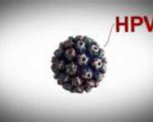 古玩网上交易平台人气排名,什么运动减脂效果好