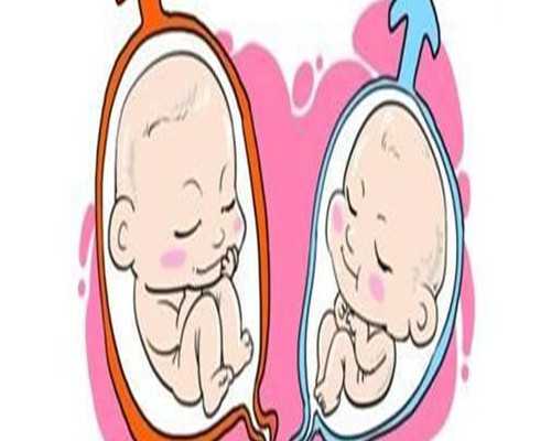 一般去香港验血男女多长时间最好,专业的验血查男女安排百分百牢靠