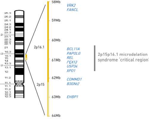 寄到香港验血的血管是怎样的_香港7周抽血验男女怀孕几周？让亲历者用事实来