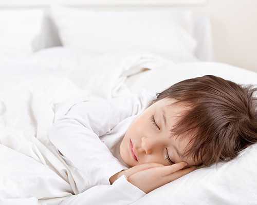 古玩瓷器收藏的主体及分类_还在吃素减肥？导致肥胖的不是脂肪而是它