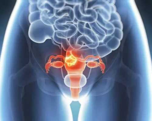 香港验血快递包装_香港验血女孩却生了男孩_你想知道的都在这儿