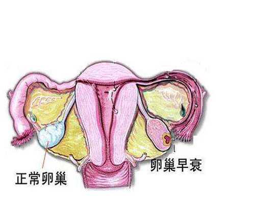 杭州有没有人收购古玩_深耕有乐三 璀璨百花园