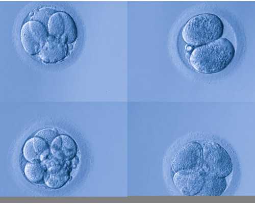李成儒古玩电视剧蹬三轮_鲍贤伦书法的风格价值