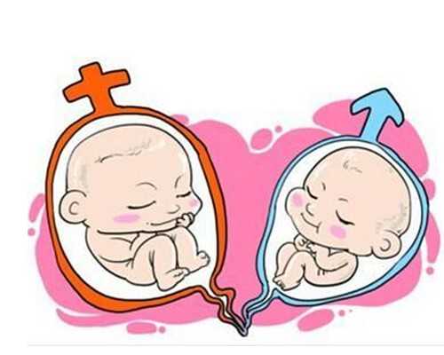 中华古玩收藏网下载_男士快速减肥食谱：柚子减肥