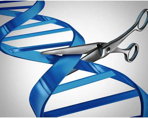 香港早孕验血报告单_国内有验血查男女的吗_怀孕几周去香港验血查男女最准