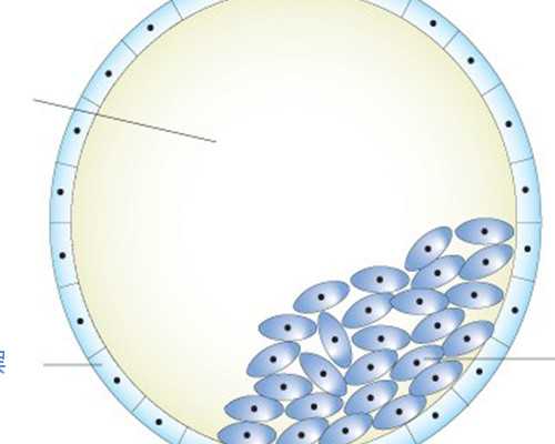 香港验血寄血可以吗_香港验血男女几周_告诉你验血查男女需要多少钱