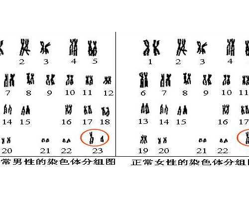 香港粒子检验中心验血_香港验血几个月可以查男女_邮寄血过去可靠吗!