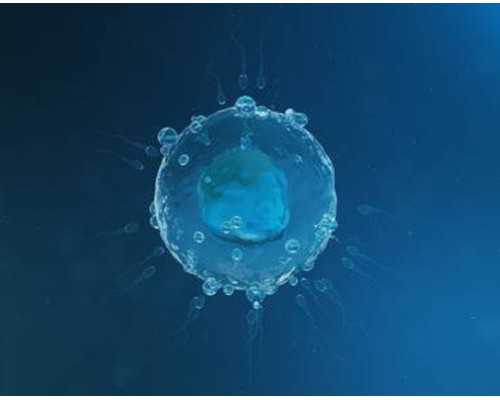 哪里找得到香港代理验血男女的机构_去香港验血查胎儿性别有不准的吗?，DNA查