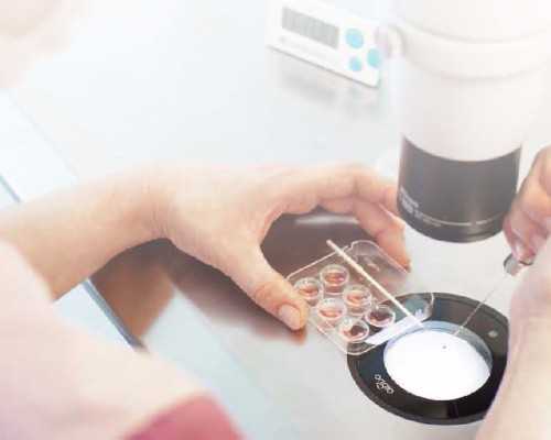 分享怀孕6周香港验血经历给宝妈_宝妈都注重:7周验男女准禁绝？（给想去的姐