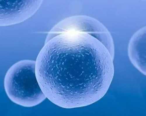 香港验血9周能鉴别吗_香港验血能跳过中介吗_香港验血是不是真的_要多少钱!