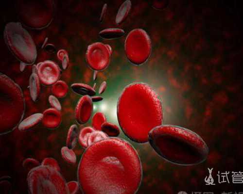 香港抽血邮寄验血准吗_真后悔没去香港验血_最具权威的验血机构是哪家!