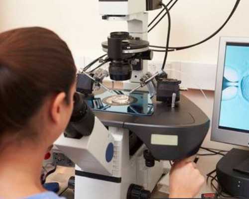 香港dna 香港验血网,去香港验血需要准备什么条件_验血查性别化验所哪家准!