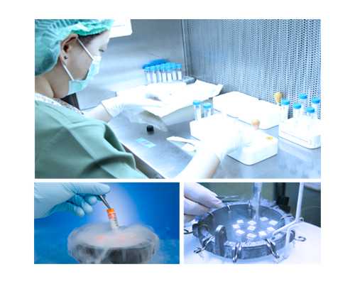 香港验血男孩 有生女孩的吗_300字的武夷山导游词武夷山导游词 什么景点都可以