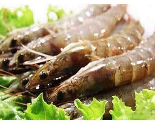 中华古玩交易网_Apple Store 里比手机更值得看的“硬件”