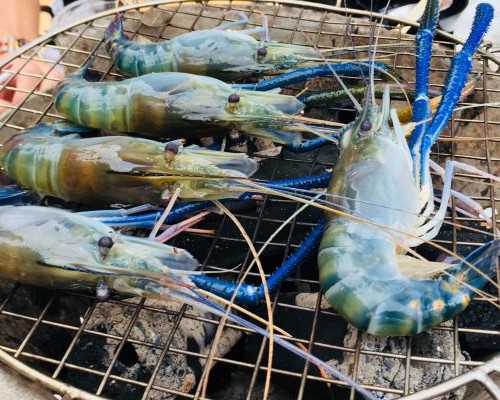 10周还可以香港验血_网上香港验血测性别需要什么条件？想知道的凑过来看