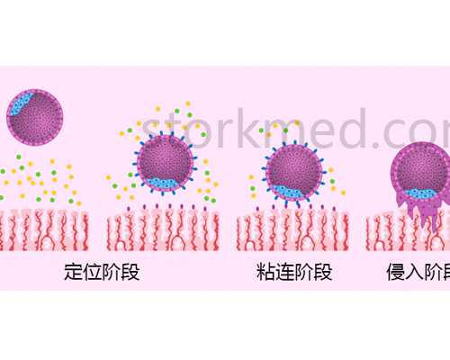 香港验血执照机构,少精弱精不知道做人授还是试管，可以从成功率来看