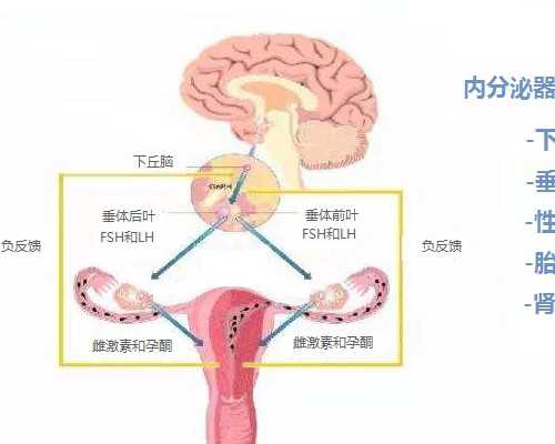 香港验血鉴定男女几周出结果_香港验血陈立志pg不准_验血B超男孩会翻盘吗!