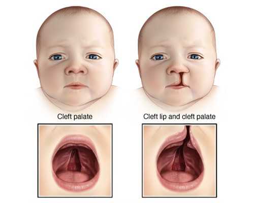 香港验血孕囊多大_香港医院验血查男女_香港验血需要几天时间