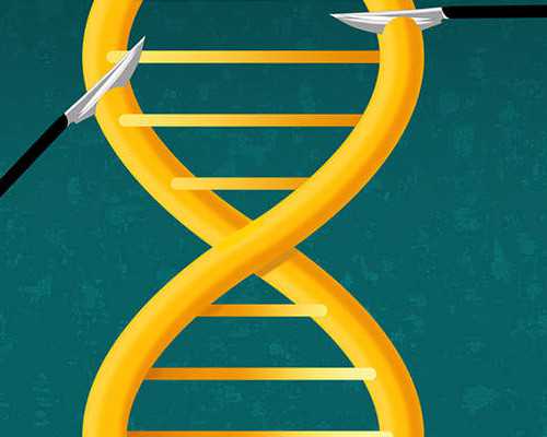 香港验血男女一般多久出结果_香港验血看男女有不准的吗邮寄_鉴定哪家准确率