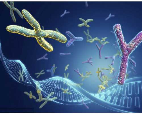 本人上门收购古董古玩,历史上八字纯阳的名人都有谁