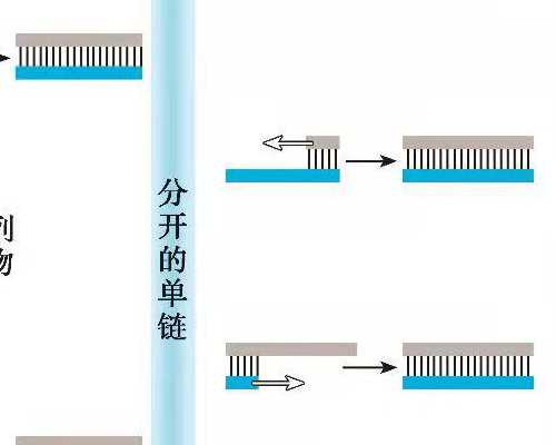 西安古玩收购公司正规吗_绿檀收藏：价格仍处洼地