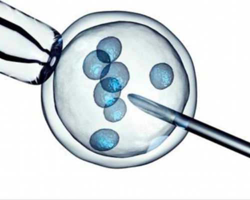 香港验血检查说是男孩_香港验血机构微信准不准,你想知道的都在这了