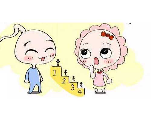 香港验血8周可以吗_香港验血测性别有出错吗_最详细的介绍流程!