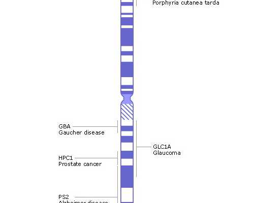 古玩大亨在都市全文免费阅读_富弼《儿子帖》之我见