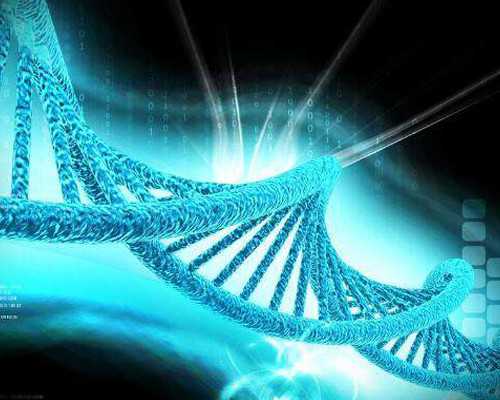 7周 香港验血没有y,香港验血费用点击卓信机构_测性别哪家化验所权威!