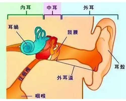香港验血pg电话_到香港验血查男女价格_有Y染色体生女孩怎么回事!