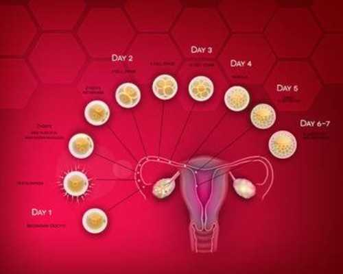 陕西寄到香港验血得几天_香港信康如何预约验血_抽血验孕原理