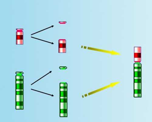 香港验血中介寄过去靠谱吗,中度宫腔粘连备孕5年一直未能成功，可以做试管婴