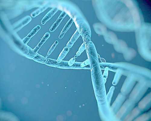 香港验血怀孕六周和七周的区别_微信上香港验血准吗_怎么预约去香港验血