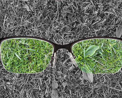 古玩市场的电视剧_清新爽口不油腻的～泡椒猪皮