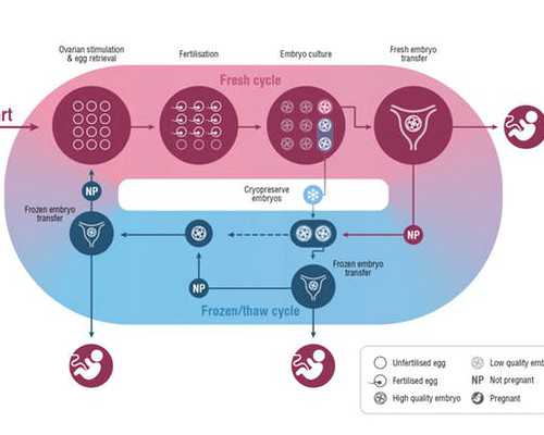 在香港化验血查男女准吗_香港验血迪亚安官网_7周香港验血查男女准不!