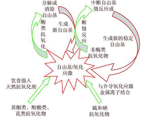 香港验血性别邮寄_香港验血男女需要空腹吗_验血查男女哪个机构最好!
