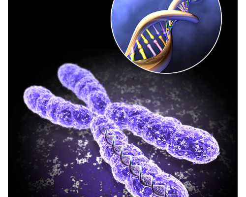 有一本小说女主是古玩修复师,劝君用膳莫看书