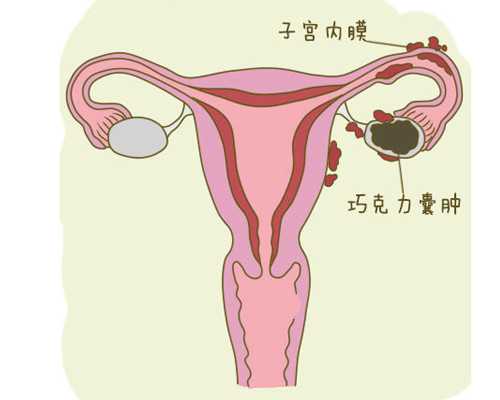 香港哪个医院验血男女_香港雅高达验男女机构_哪个机构最权威!