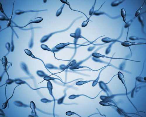 验血辨别男女香港_香港什么医院可测男女_总结下香港鉴定性别攻略!