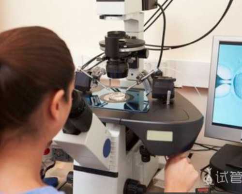 香港验血八周判断男女准确吗_香港验血查男女的依据是什么意思_验血查性别准