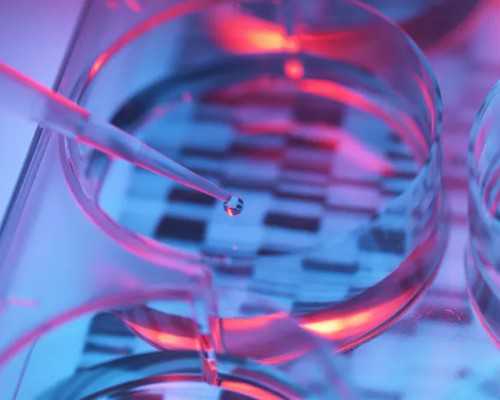 香港精华基因验血机构_香港验血规定半年内不能流产过男胎,性别鉴定哪个验血